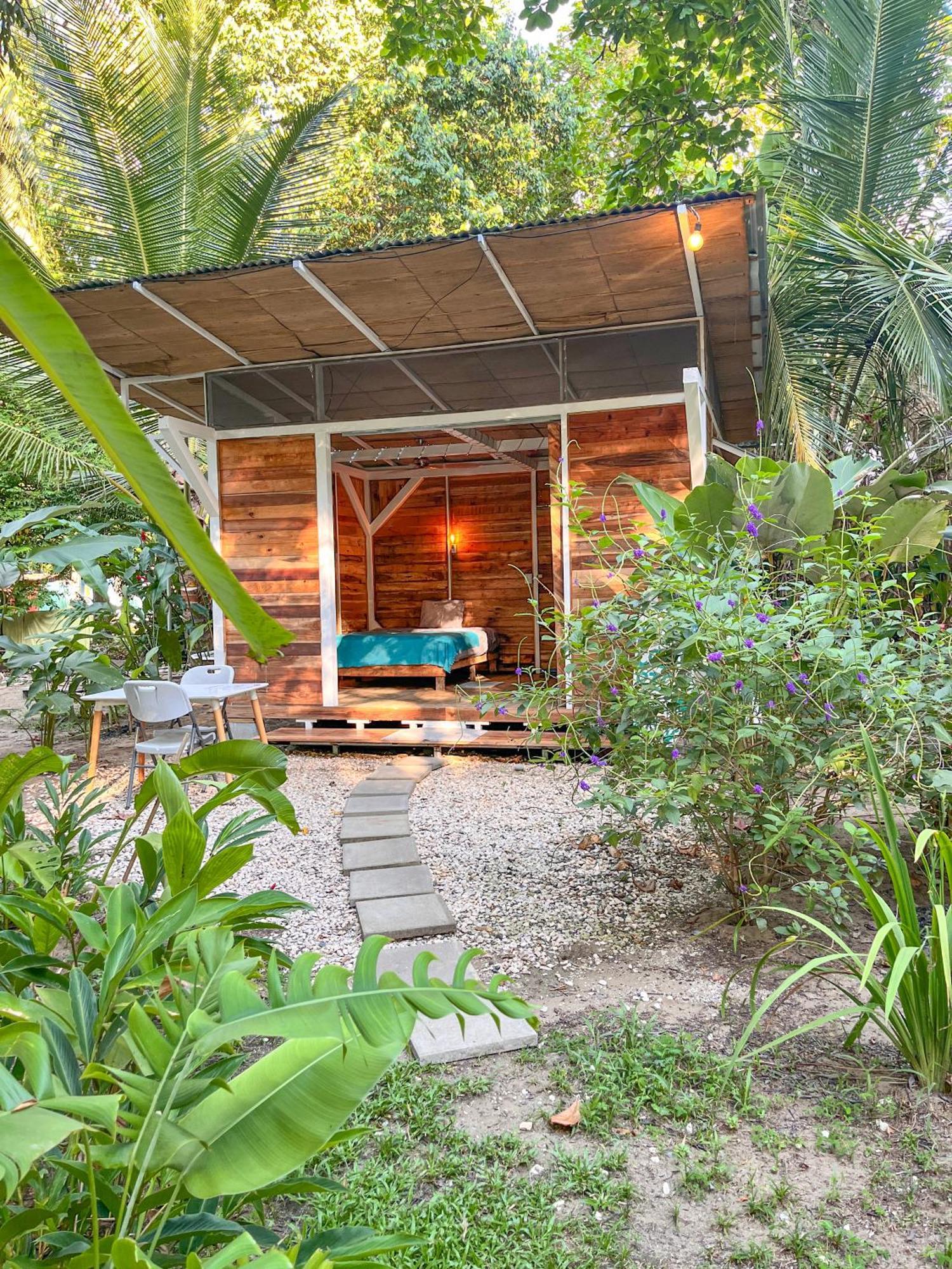ウビタ Nomadic Surf Campホステル エクステリア 写真